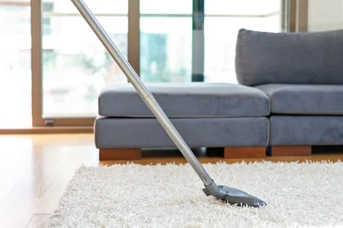 Basic House Cleaning