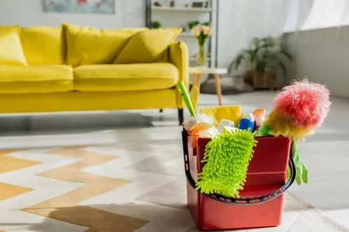 House Cleaning Mildred team at work