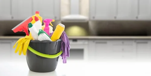 House Cleaning Mildred services